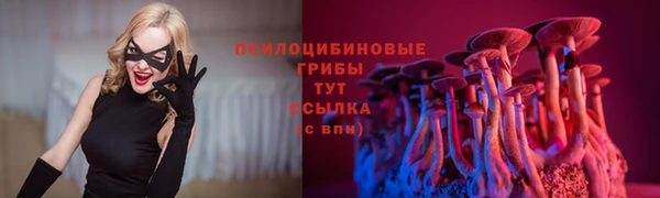 Альфа ПВП Белоозёрский